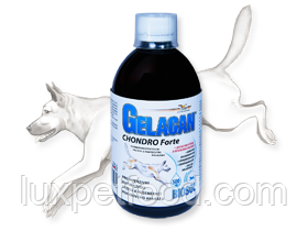 ORLING Хондрокан Гелакан Хондро Форте Біосол Chondrocan Biosol - МАЄ АНАЛОГІВ ЧЕХІЯ!!! 500мл