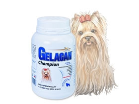 ORLING Гелакан Чемпіон GELACAN CHAMPION для собак кольорових забарвлень - НАЙКРАЩА ДОБАВКА !!!УВАГА!! ЧЕХІЯ!!! 150г