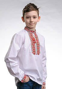 Вишиванка для хлопчика на довгий рукав із геометричним орнаментом «Андрій (червона)»