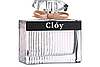 Fragrance World Cloy Парфумована вода жіноча, 100 мл, фото 3