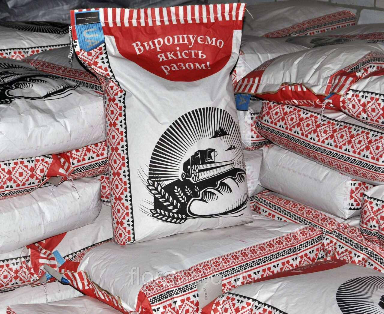 Насіння соняшнику Шаран