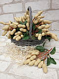 Муляж арахісу, гілочка штучного арахісу 14 см,  23/30 грн (ціна за 1 шт +7 грн), фото 7