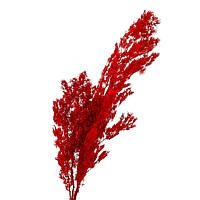 Кушир стабілізований (червоний) 62 см