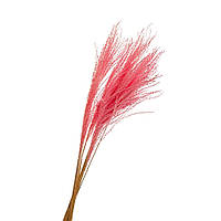 Кіль стабілізований (рожевий) 80 см