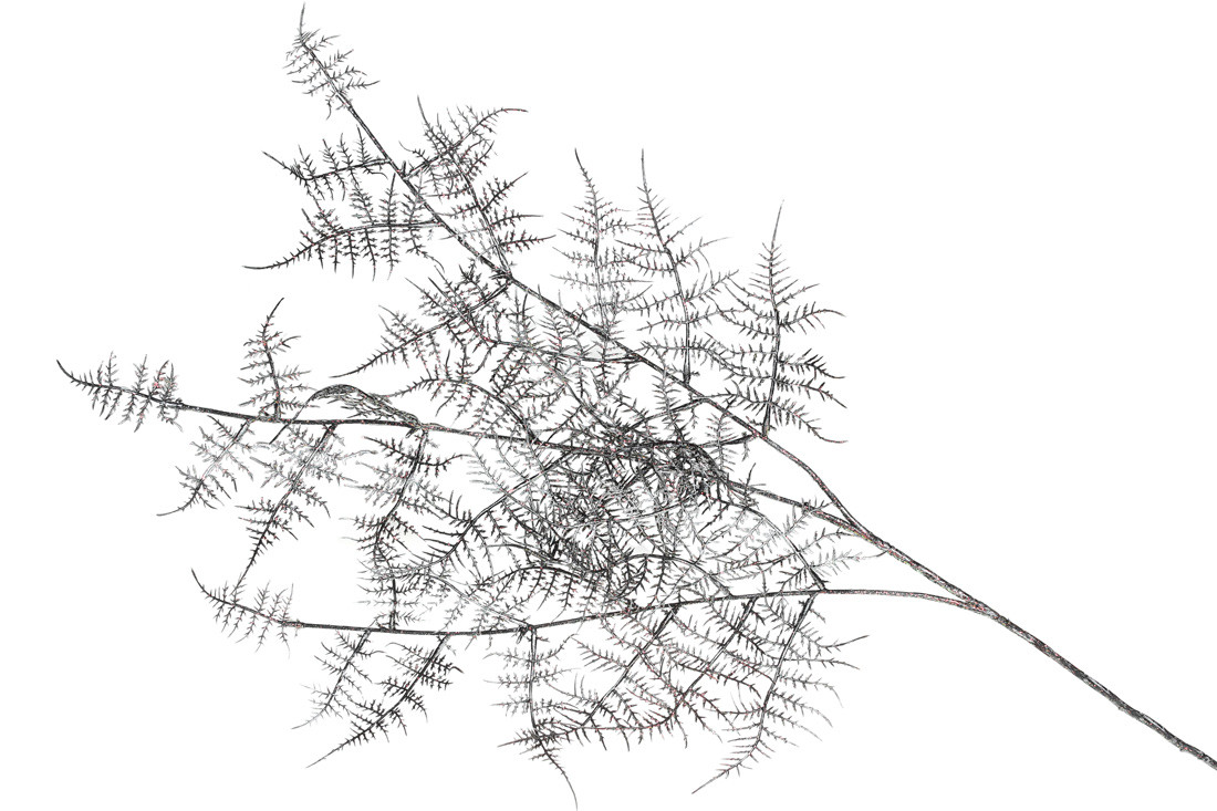 Декоративна гілка Кіпаріс, 89см, колір - графіт з кольоровим гліттером ТОВАР ВІД ВИРОБНИКА