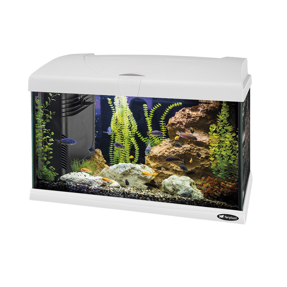 Стеклянный Аквариум со Светодиодной Лампой на 40 Литров Ferplast Capri ...