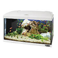 Скляний акваріум зі світлодіодною лампою на 60 літрів Ferplast Capri 60 LED (Ферпласт Капрі 60 ЛЕД)