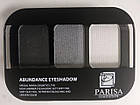 Тіні для повік потрійні Parisa Cosmetics Abundance Е-403 № 01 чорні сірі білі, фото 4