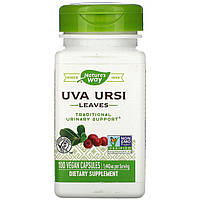 Листья толокнянки Nature's Way "Uva Ursi Leaves" 1440 мг (100 капсул)