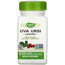 Листя мучниці Nature's Way "Uva Ursi Leaves" 1440 мг (100 капсул)