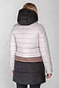 Демісезонна жіноча Куртка Томі ТМ МіоРичi Розміри 44 46, фото 2