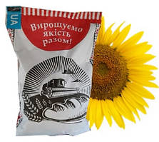 Пікардія Насіння соняшника (під євролайтінг)