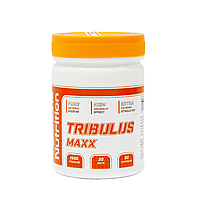 TRIBULUS MAXX TERRESTRIS 90% saponins (Трибулус) Німеччина, 90 капсул