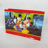 Пакет подарунковий 36х22х10 см Великий горизонтальний