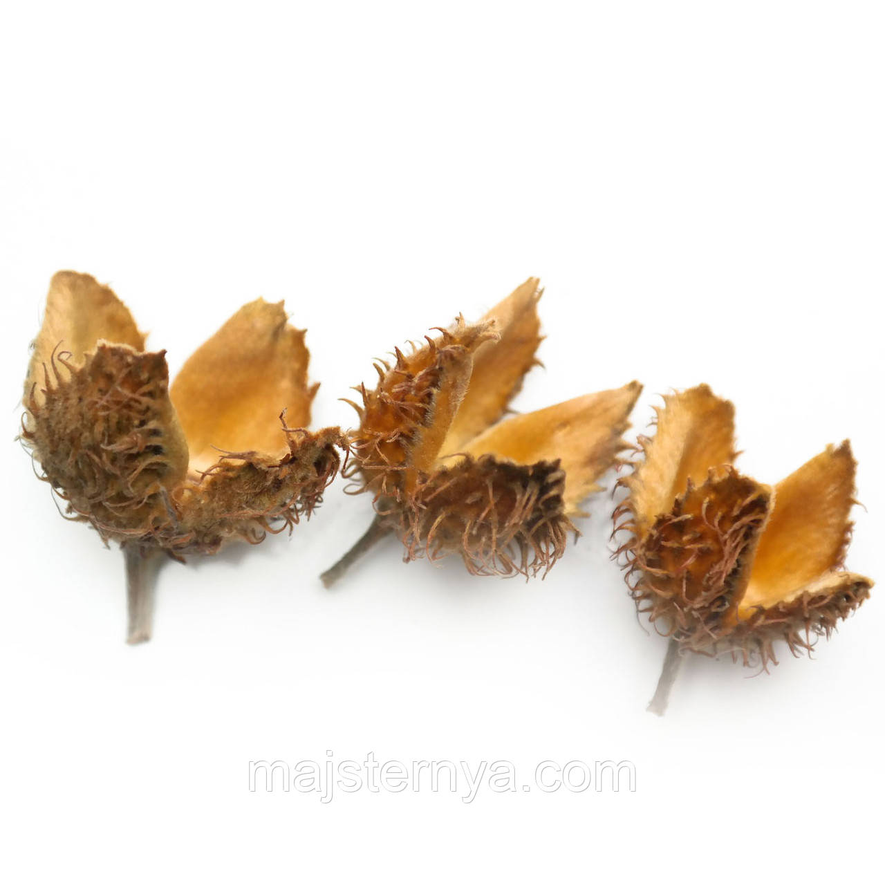 Шишки букові (10шт в упаковці) натуральні, шкаралупа від букових горішків