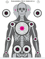 мішень анатомична