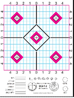 мішень чемпіон