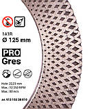 Диск фреза 125 PRO Gres. Ріж, шліфуй під кутом 45. Завусівка, фото 3