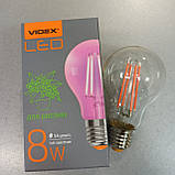 Лампа для рослин світлодіодна фітолампа LED E27 Videx, фото 4