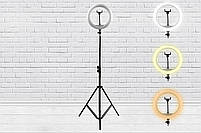 Світлодіодна кругла лампа Ring Fill Light YQ-320 / Набір блогера / LED кільце для селфі / Лід підсвітка, фото 2