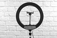 Світлодіодна кругла лампа Ring Fill Light YQ-320 / Набір блогера / LED кільце для селфі / Лід підсвітка, фото 3