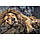Пазл "Стопний лев", 1000 елементів Trefl (5900511104479), фото 2