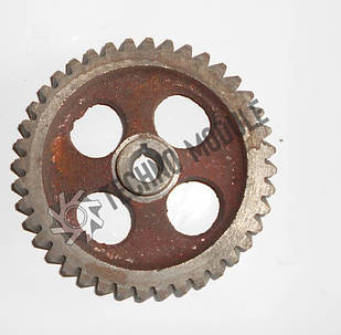 Шестірня паливного насоса TY2100IT