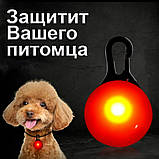 Світлодіодний LED ліхтарик для собак на нашийник Кулон брелок безпеки світиться на поводок Multibrand, фото 5