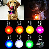 Світлодіодний LED ліхтарик для собак на нашийник Кулон брелок безпеки світиться на поводок Multibrand, фото 10