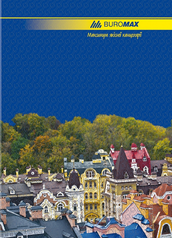 Канцелярська книга А4 Buromax 96 л. лінія лам.обл. для обліку BM.2401