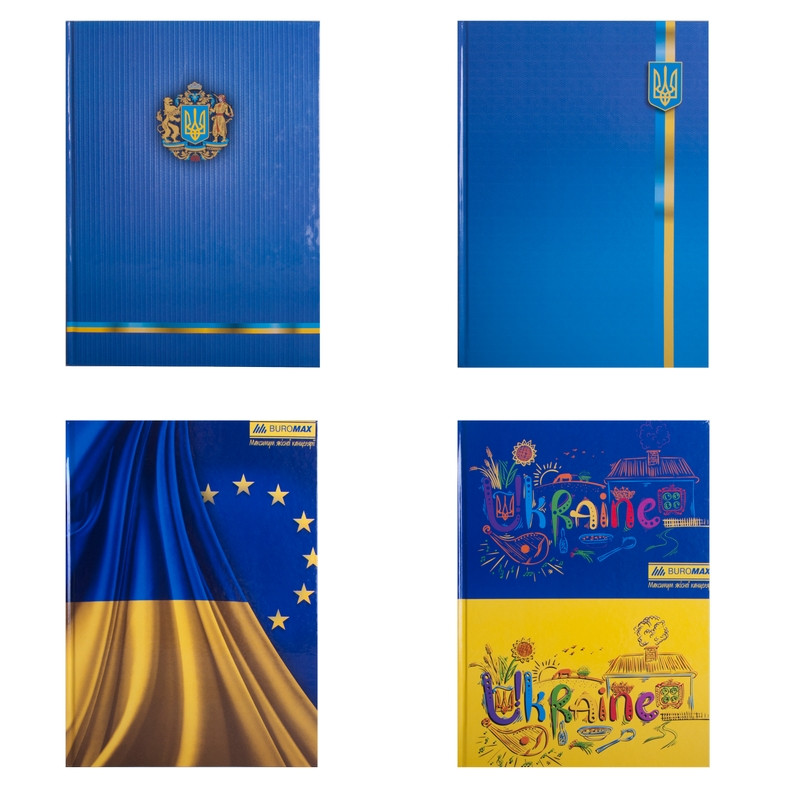 Канцелярська книга А4 Buromax 96 арк. клітка лам.обл. для обліку BM.2400-38