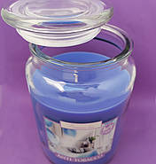 Свічка ароматизована в посудині AURA Bispol із запахом Антитабак 500 г час горіння 100 годин, фото 5