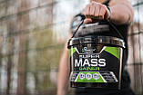 Гейнер Powerfull Progress Super Mass Gainer 4kg, фото 4