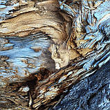 Фотофон для предметного знімання 60х60 см — FM-170, фото 6