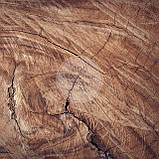 Фотофон для предметного знімання 60х60 см — FM-170, фото 2