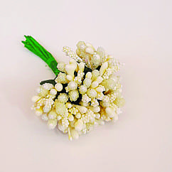 Тичинки Айворі