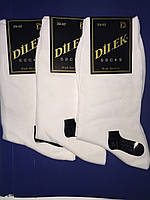 Шкарпетки чоловічі бавовна без шва Dilek 39-41 білі