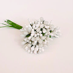 Тичинки Білі