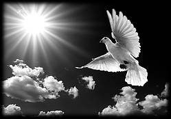 Портрети,тексти,ікони,пейзажі на пам'ятках