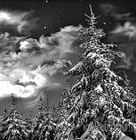 Фото на пам'ятках Луцьк, фото 3