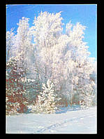 Поштова картка Новорічна 1990