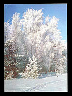 Поштова картка Новорічні Свята 1989 г