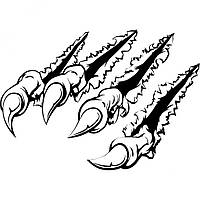 Вінілова наклейка на автомобіль - Кігті