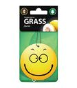 Ароматизатор GRASS картонний Смайл діня ST-0399