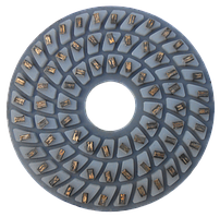 Алмазні полірувальні круги "GranitLion" для граніту і мармуру 30, 250 мм.