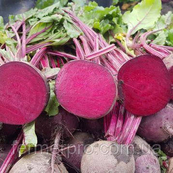 Насіння буряків Детройт, 0.5кг, Hazera, фото 1