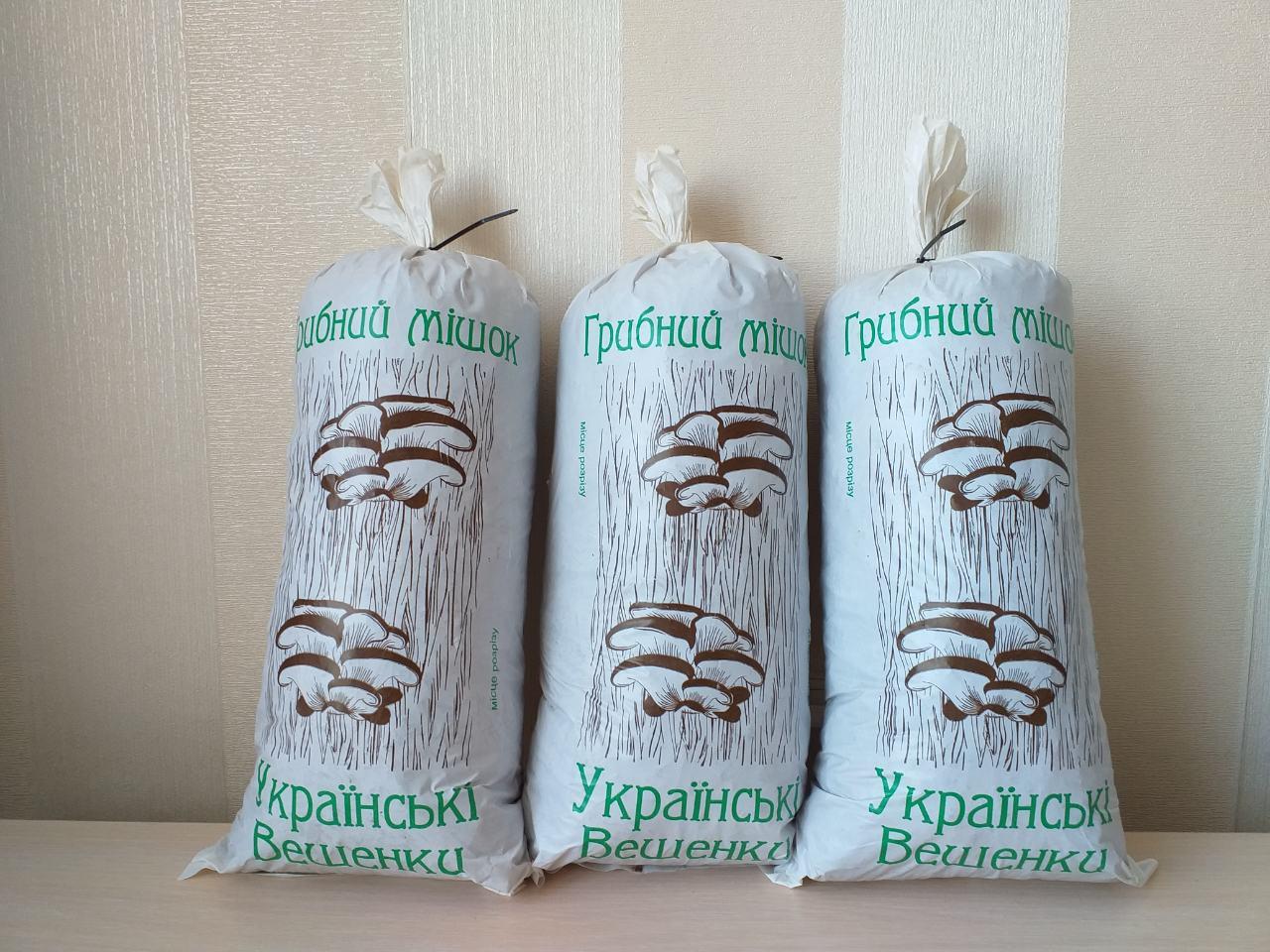 Набір подарунковий для вирощування Гливи 3 мішка, фото 1