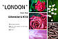 Аромадиффузор парфумований "LONDON" Geranium & Rose для дому, офісу ОПТ, фото 2