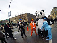 Panda in the USA