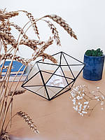 Скляний флораріум, геометричний вазон для рослин "Кристал"